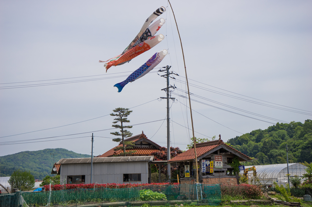 懐かしい看板