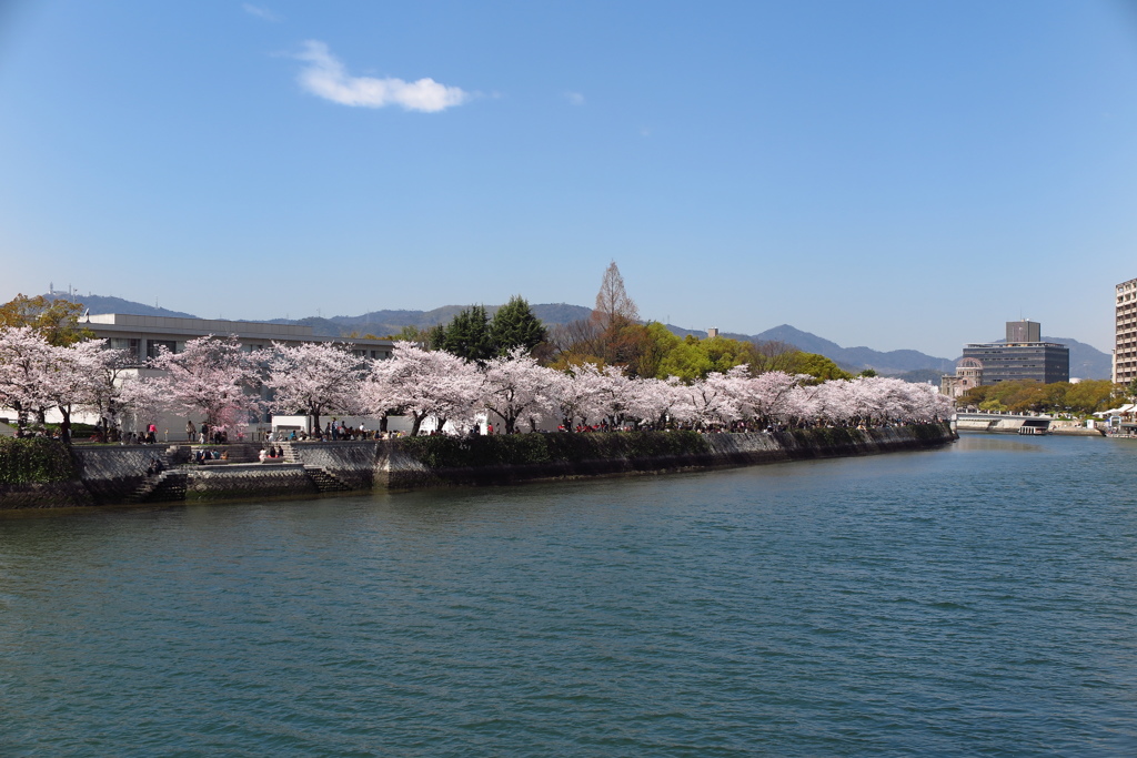 広島春景色