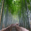 化野念仏寺