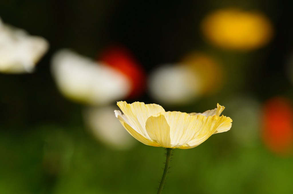 2013.5.12