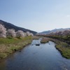 2012/4/14 三篠川