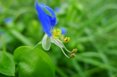 P1120130