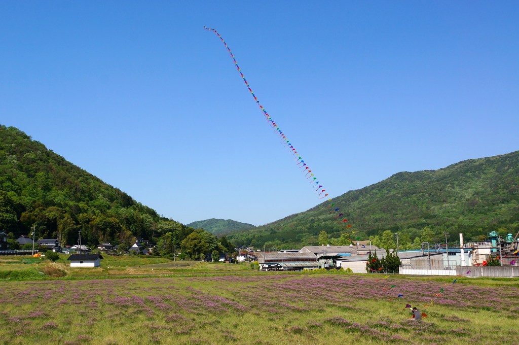 2013.5.12