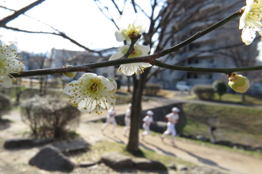 朝練中