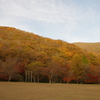比婆山連峰の紅葉