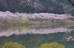 2012/4/15　土師ダム湖