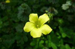 P1160039