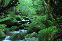 慈雨の恵み