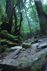 風の通り道