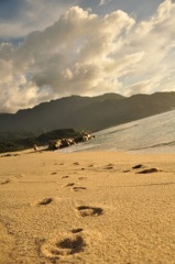 海がめの後は人が通ります