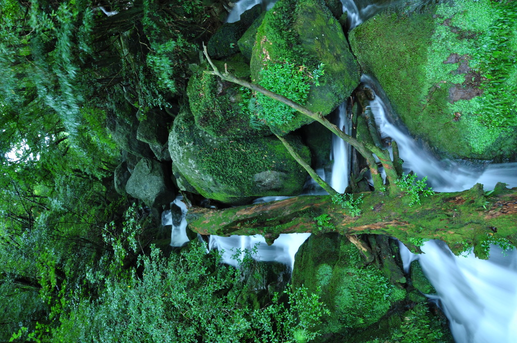 DSC_0713