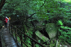 屋久島