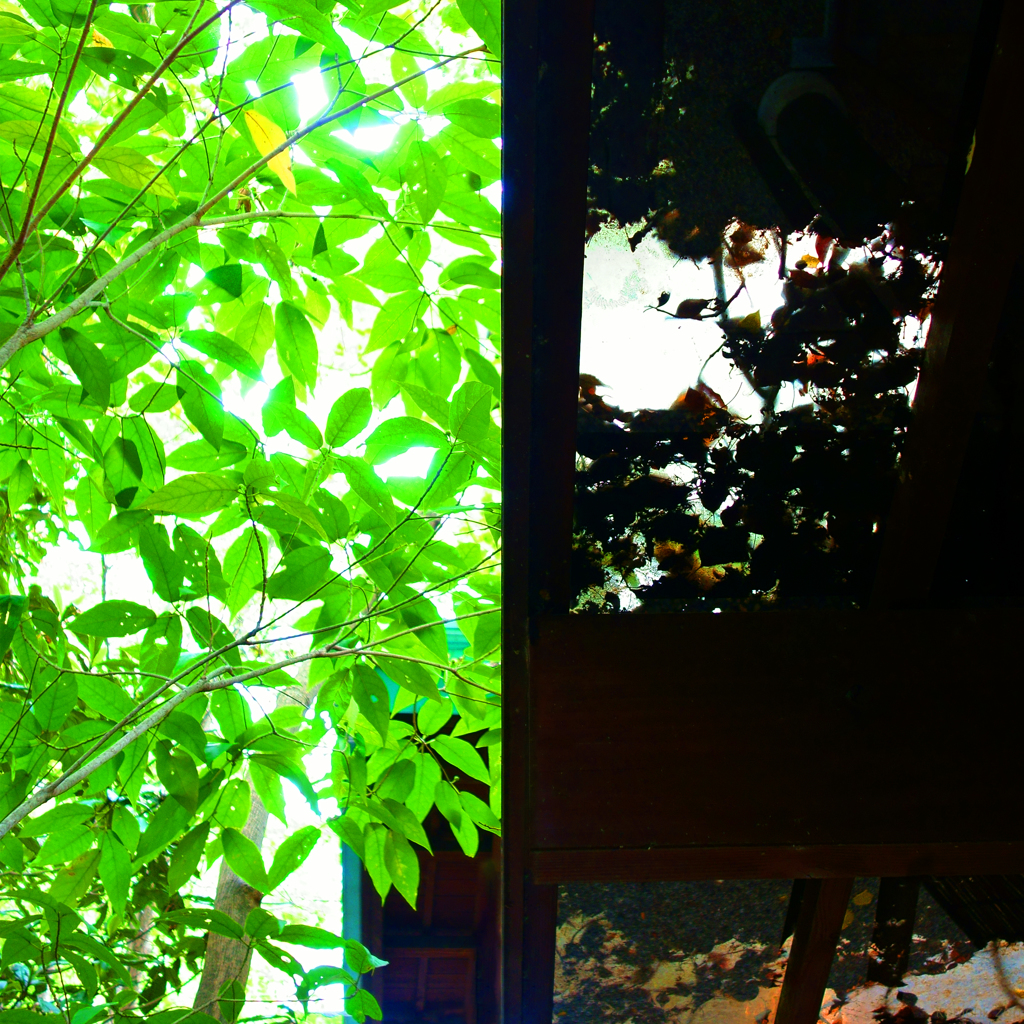 構成-59／Under glass eaves to divide light 