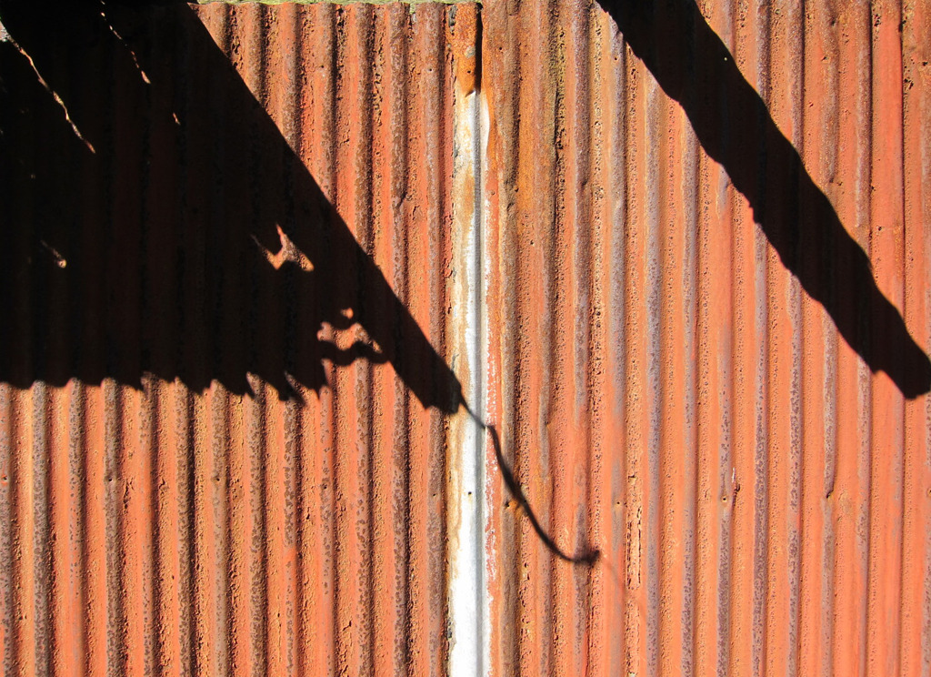 影-29／Rust and a shadow