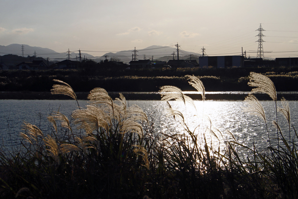 山街川、そしてススキ