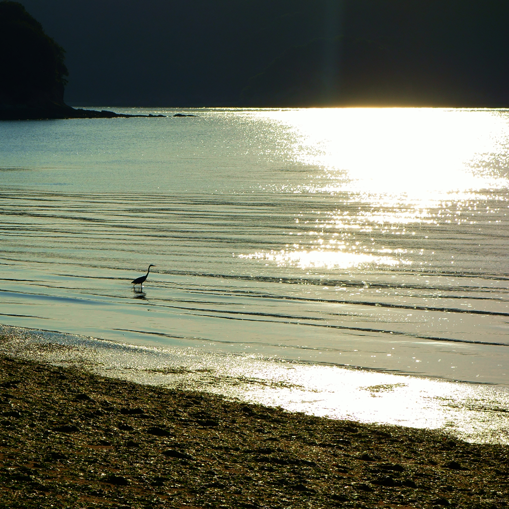 水様-126／The sea without sounds