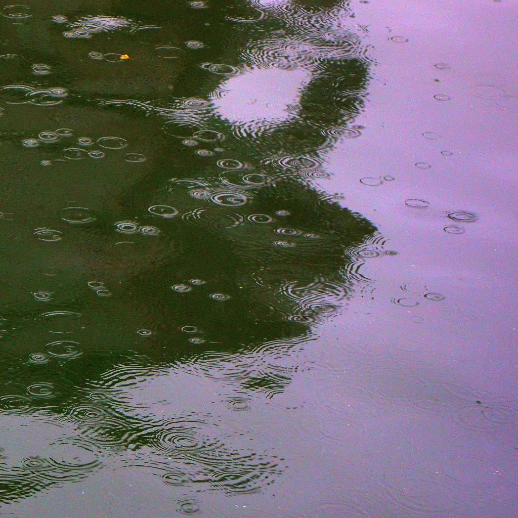 水様-198／雨日の緑霊