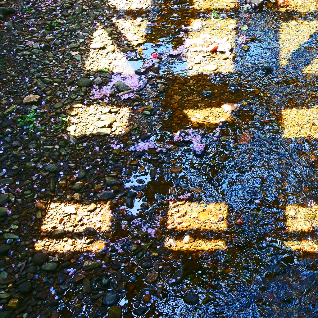 水様-127／Geometric light to the brook