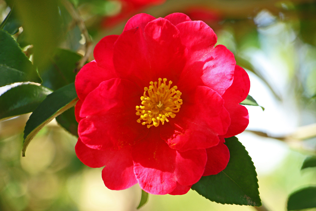 冬こそ元気いっぱい！