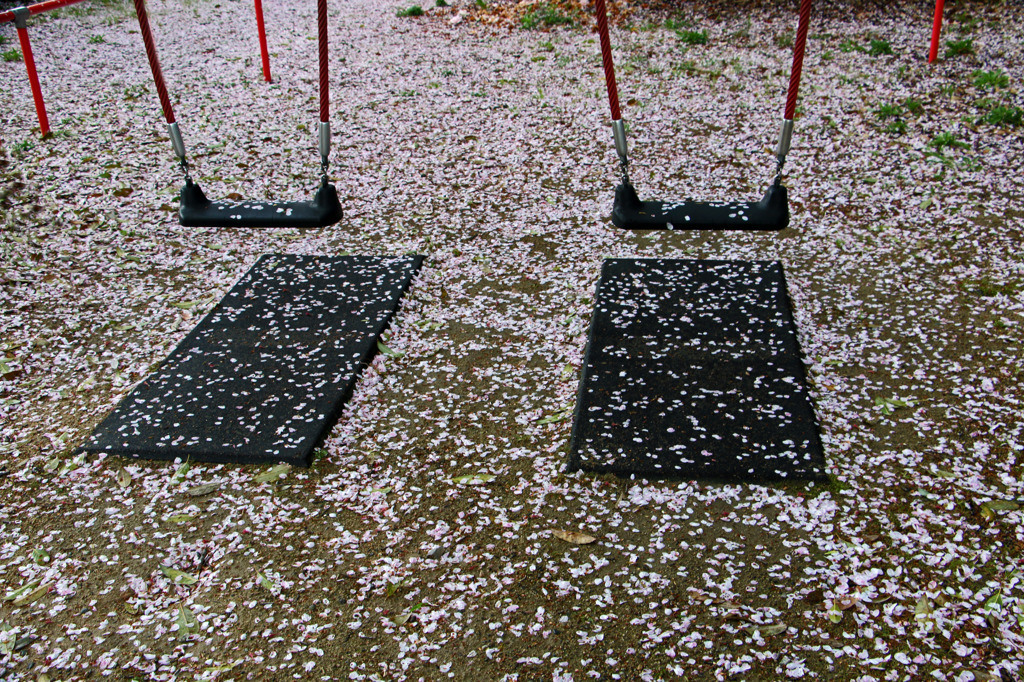 桜の静けさの中で