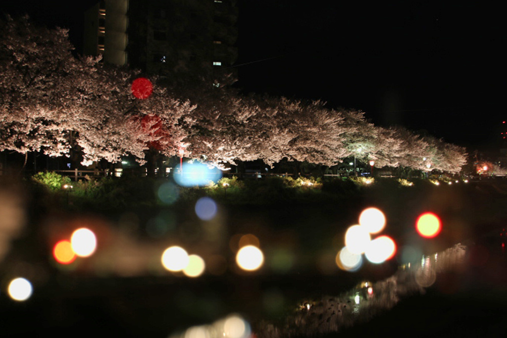 夜も華やか