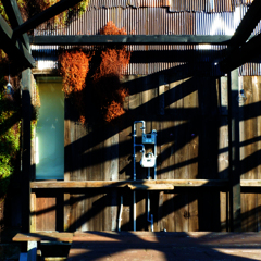 構成-321／板壁と混影