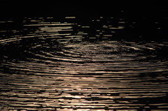 夕暮れの池-1