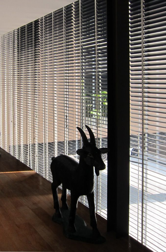影-35／Two horns in the stripe