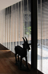 影-35／Two horns in the stripe