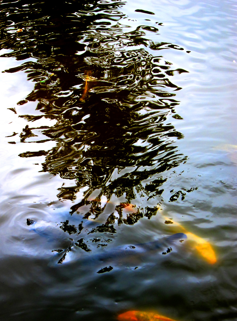 水様-20／The mysteriousness which creeps up