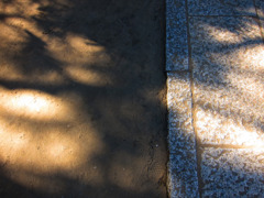 影-47／Flickering of a shadow of a tree