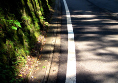 影-37／The shadow which covers nature and 