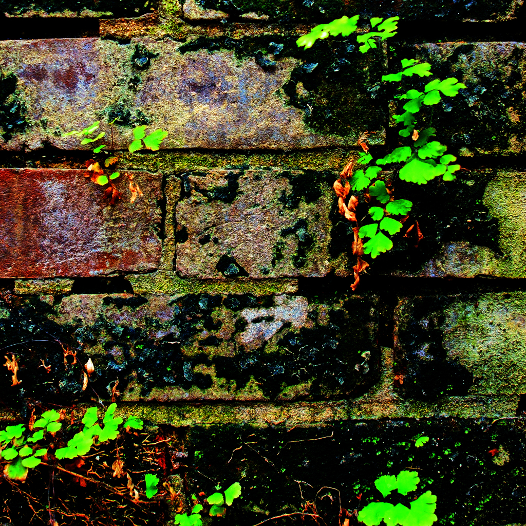 構成-55／Brick wall with black and green