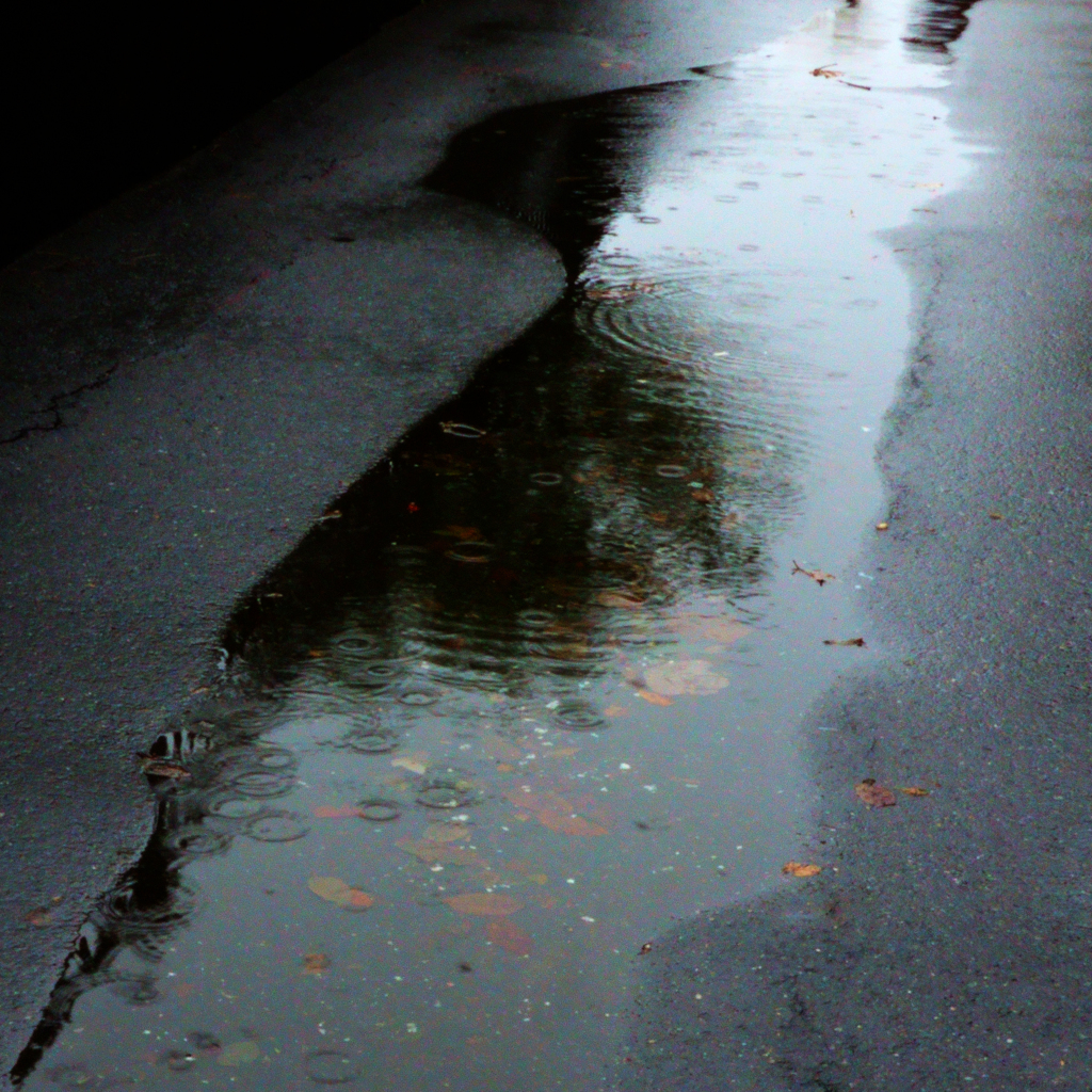 水様-301／雨日の兎人