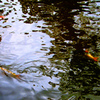 水様-21／Ripple marks by 3 lives