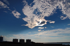 夏雲の遊泳