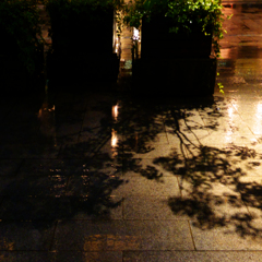 構成-264／雨夜の樹影