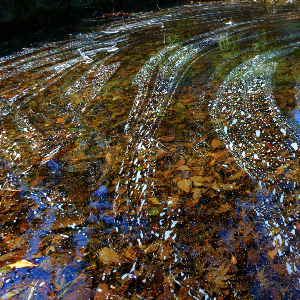 水様-312／水に眠る葉と白波