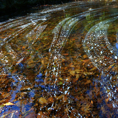 水様-312／水に眠る葉と白波