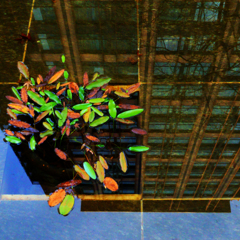 水様r-308／幾何学と自然の狭間で