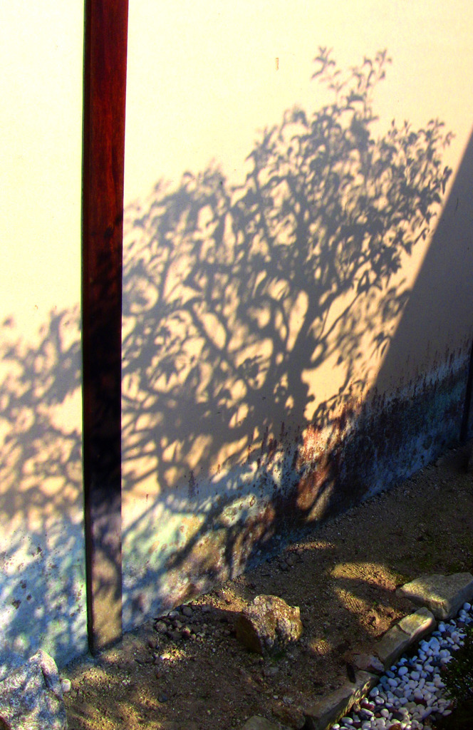 影-45／In a quiet garden of dusk