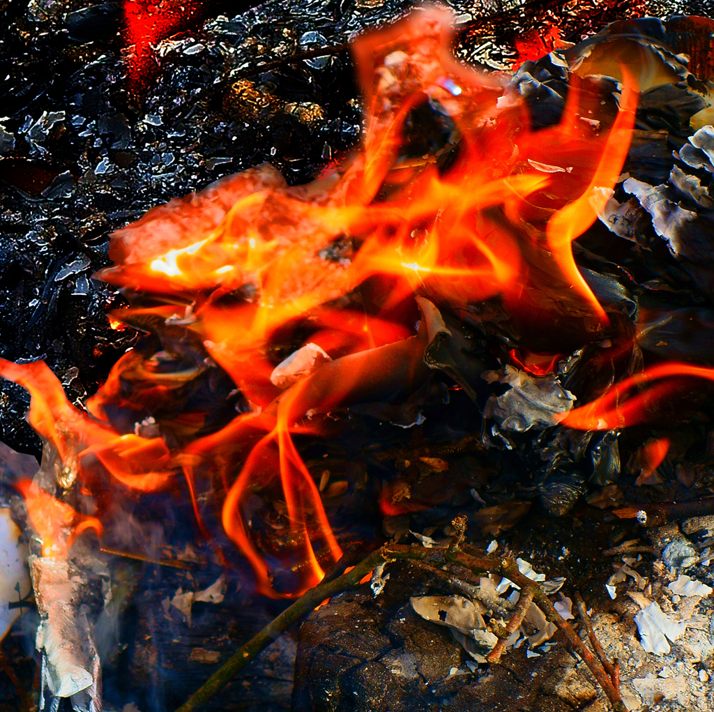 構成-57／Flame such as the mollusk