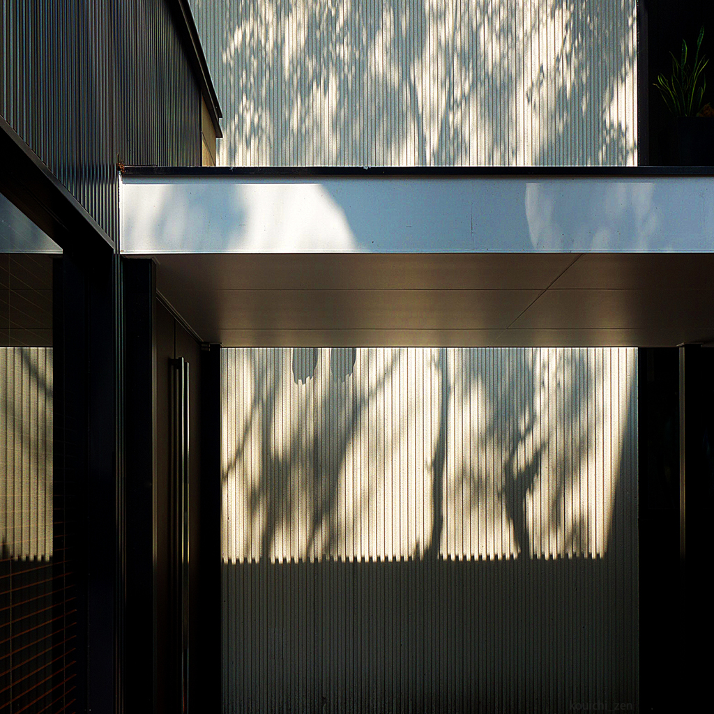構成-69／Organic shadows and geometric buil