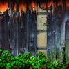 構成-92／Spiritual old wall with eyes