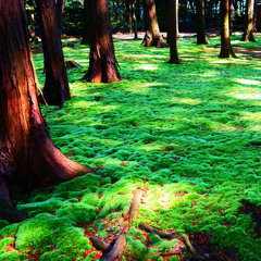 構成-54／Trees standing in wriggling moss