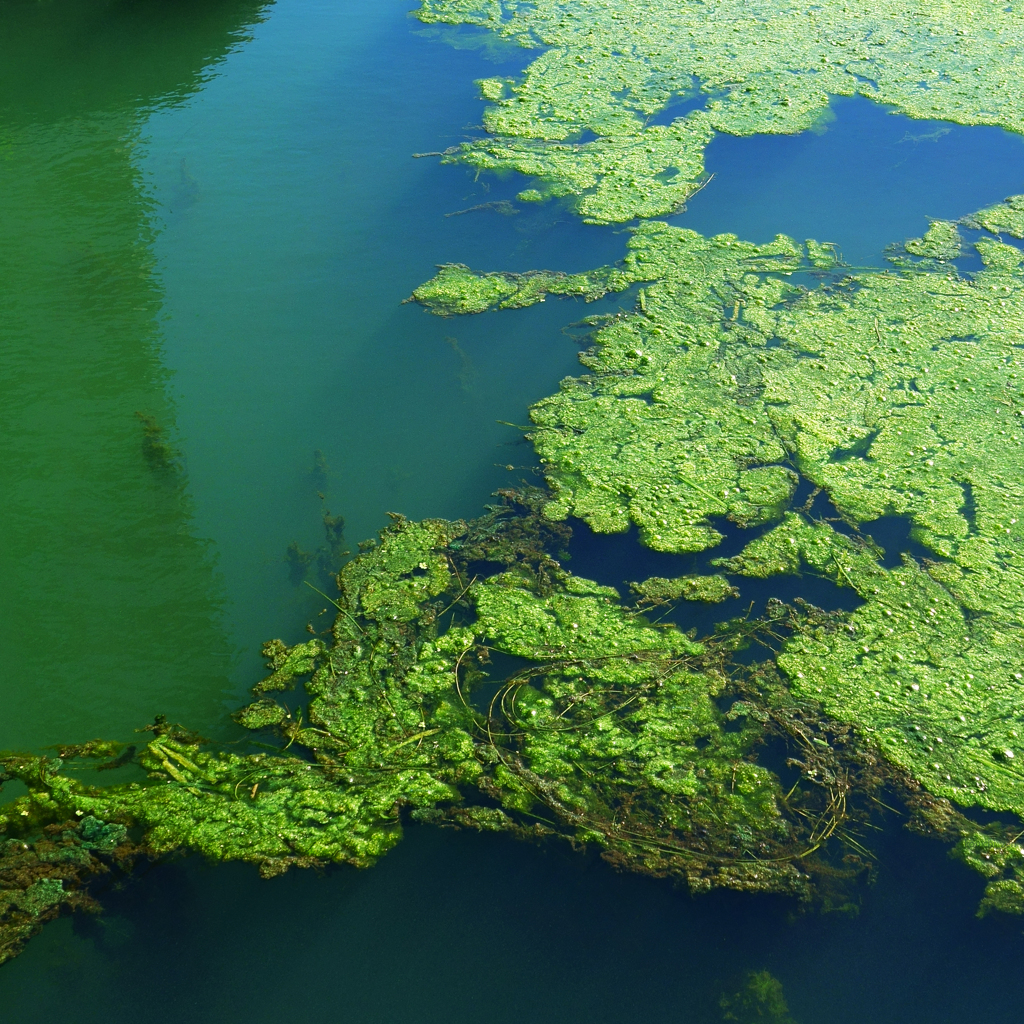 水様-130／When a continent is born