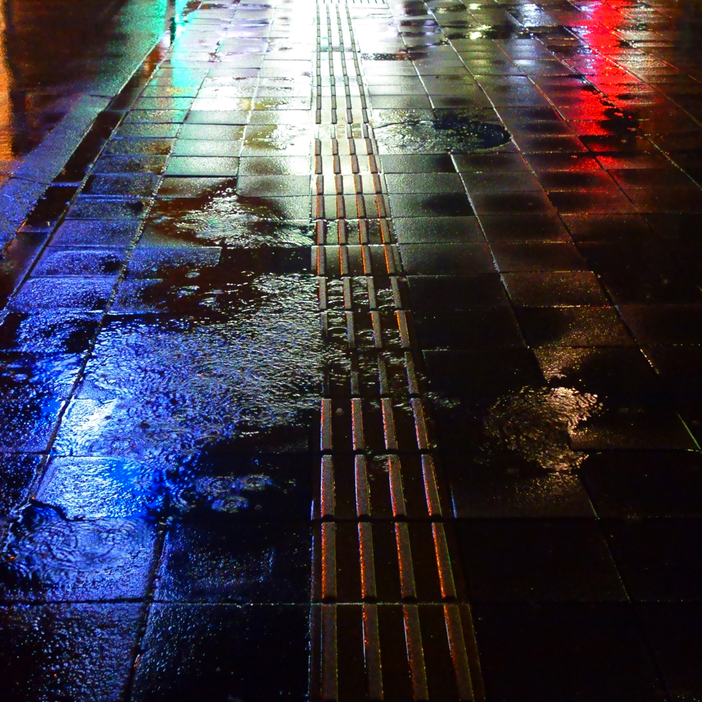 水様-206／雨夜の光陰