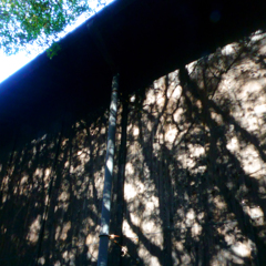 構成-297／木壁と樹影