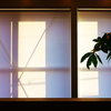 構成-97／夕日に佇む幾何学図形と植物