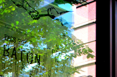反射-87／Something blurred and something cl